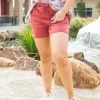 Boutique Simplified Everyday Mauve Shorts