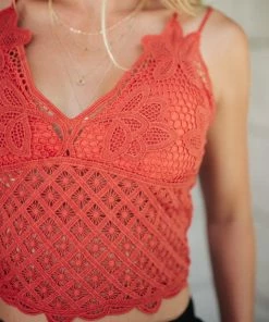 La Miel Wild And Free Crop Top In Rust