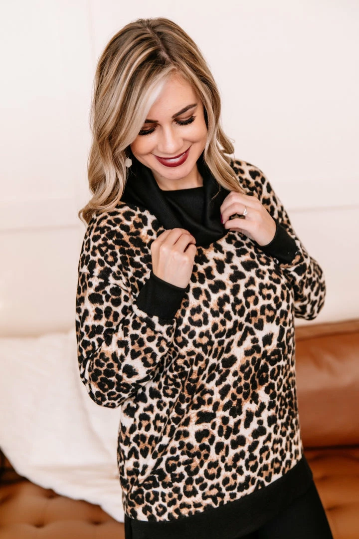 No Ship Drop Ship Credit Is Due Animal Print Top 8 No Ship Drop Ship Credit Is Due Animal Print Top