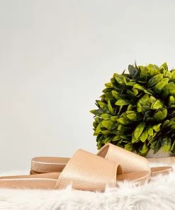 Corkys Backyard Slides In Gold