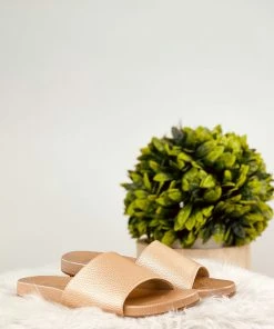 Corkys Backyard Slides In Gold