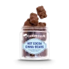 Candy Club Hot Cocoa Cinna-Bears *WINTER COLLECTION*