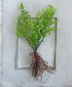 Creative Coop Faux Ferns W/exposed Roots Lifestyle + Home