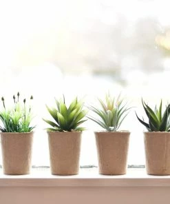 Creative Coop Faux Succulent In Paper Pot Lifestyle + Home