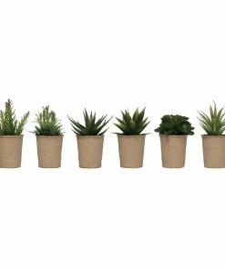 Creative Coop Faux Succulent In Paper Pot Lifestyle + Home