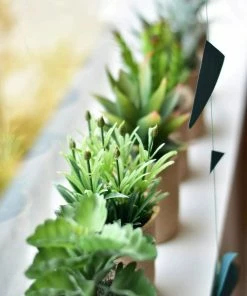 Creative Coop Faux Succulent In Paper Pot Lifestyle + Home