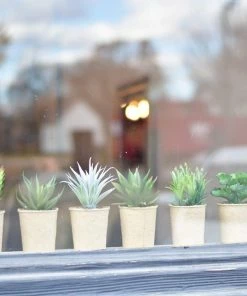 Creative Coop Faux Succulent In Paper Pot Lifestyle + Home