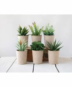 Creative Coop Faux Succulent In Paper Pot Lifestyle + Home