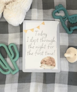 Itzy Ritzy Chew Crew™ Silicone Baby Teethers - Cactus Apparel