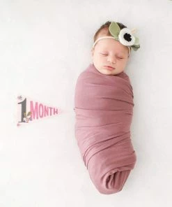 Lucy Darling Little Artist Petit Milestone Pennant