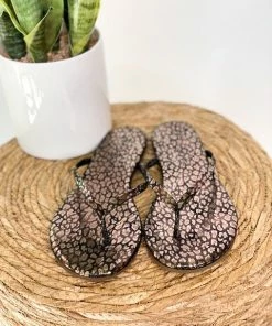 Shoes Matisse Malibu Sandal In Black Leopard