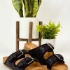 Apparel Very G Paula Sandal In Black